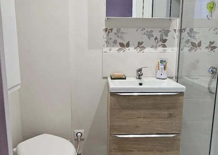 Le Nid Mentonnais Apartment